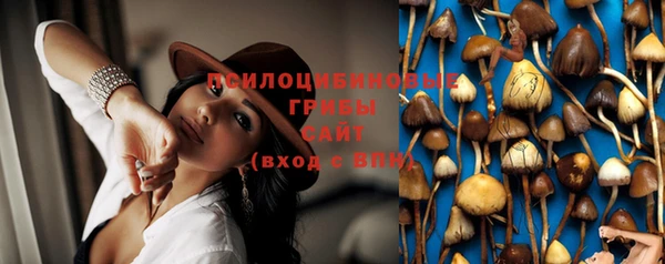 прущие грибы Навашино