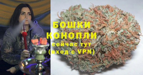 прущие грибы Навашино
