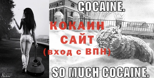 прущие грибы Навашино