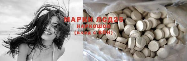 прущие грибы Навашино