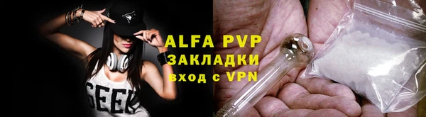 прущие грибы Навашино