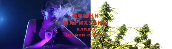 СК Надым