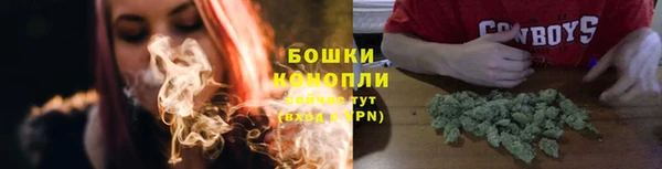 прущие грибы Навашино