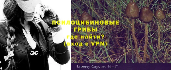 прущие грибы Навашино