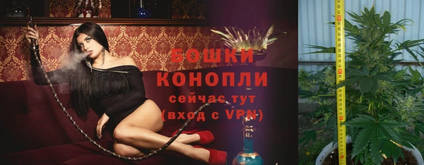 СК Надым