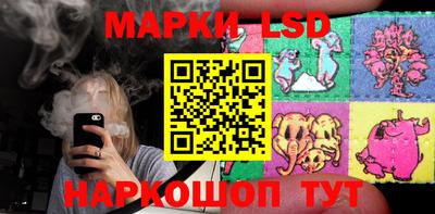 spice Заводоуковск
