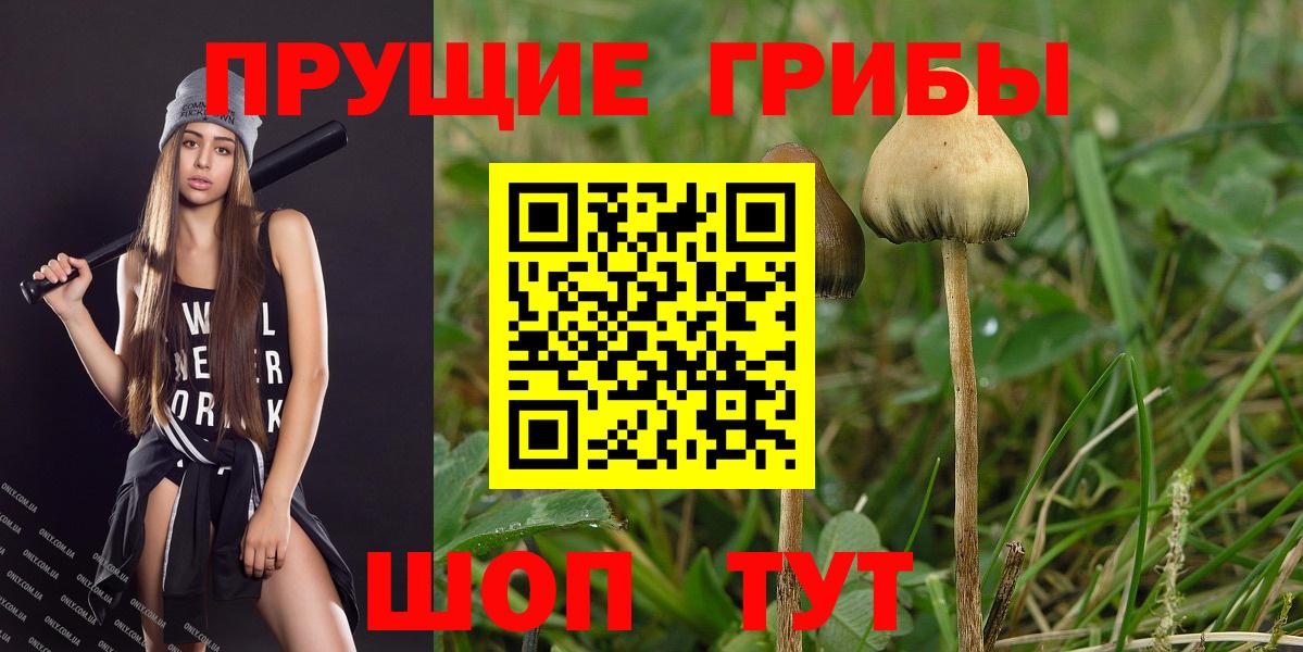 Псилоцибиновые грибы Psilocybine cubensis  Вход с VPN  Ялуторовск 