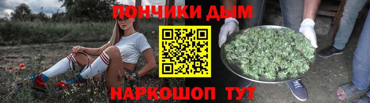 Бошки Шишки гибрид Ялуторовск